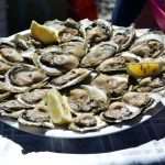 The Day of the Mali Ston Oyster: A Long-Awaited Pleasure For All Senses 13 mali ston oyster 12