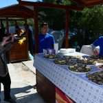 The Day of the Mali Ston Oyster: A Long-Awaited Pleasure For All Senses 15 mali ston oyster 14