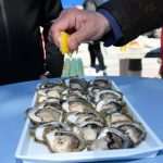 The Day of the Mali Ston Oyster: A Long-Awaited Pleasure For All Senses 18 mali ston oyster 17