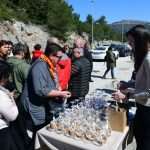 The Day of the Mali Ston Oyster: A Long-Awaited Pleasure For All Senses 24 mali ston oyster 23