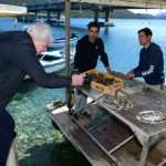 The Day of the Mali Ston Oyster: A Long-Awaited Pleasure For All Senses 30 mali ston oyster 29