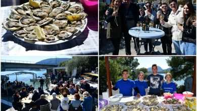 The Day of the Mali Ston Oyster: A Long-Awaited Pleasure For All Senses 4 mali ston oyster
