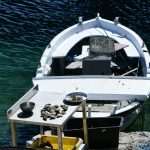 The Day of the Mali Ston Oyster: A Long-Awaited Pleasure For All Senses 5 mali ston oyster 4