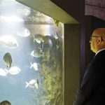 Photo Gallery: Enjoy the Newly Renovated Dubrovnik Aquarium 5 Aquarium Opening the Institute for Marine and Coastal Research in Dubrovnik 1