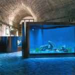 Photo Gallery: Enjoy the Newly Renovated Dubrovnik Aquarium 14 Aquarium Opening the Institute for Marine and Coastal Research in Dubrovnik 10