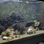 Photo Gallery: Enjoy the Newly Renovated Dubrovnik Aquarium 8 Aquarium Opening the Institute for Marine and Coastal Research in Dubrovnik 4