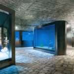 Photo Gallery: Enjoy the Newly Renovated Dubrovnik Aquarium 9 Aquarium Opening the Institute for Marine and Coastal Research in Dubrovnik 5