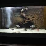 Photo Gallery: Enjoy the Newly Renovated Dubrovnik Aquarium 11 Aquarium Opening the Institute for Marine and Coastal Research in Dubrovnik 7