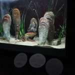Photo Gallery: Enjoy the Newly Renovated Dubrovnik Aquarium 13 Aquarium Opening the Institute for Marine and Coastal Research in Dubrovnik 9