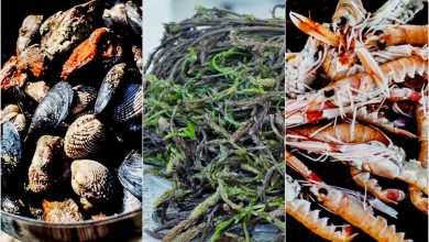 Tastes of Spring Week in Dubrovnik 1 Tastes of Spring Week