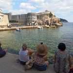 Tripti Dimri and Vicky Kaushal 7