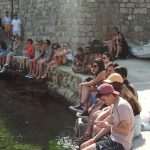 Tripti Dimri and Vicky Kaushal 8