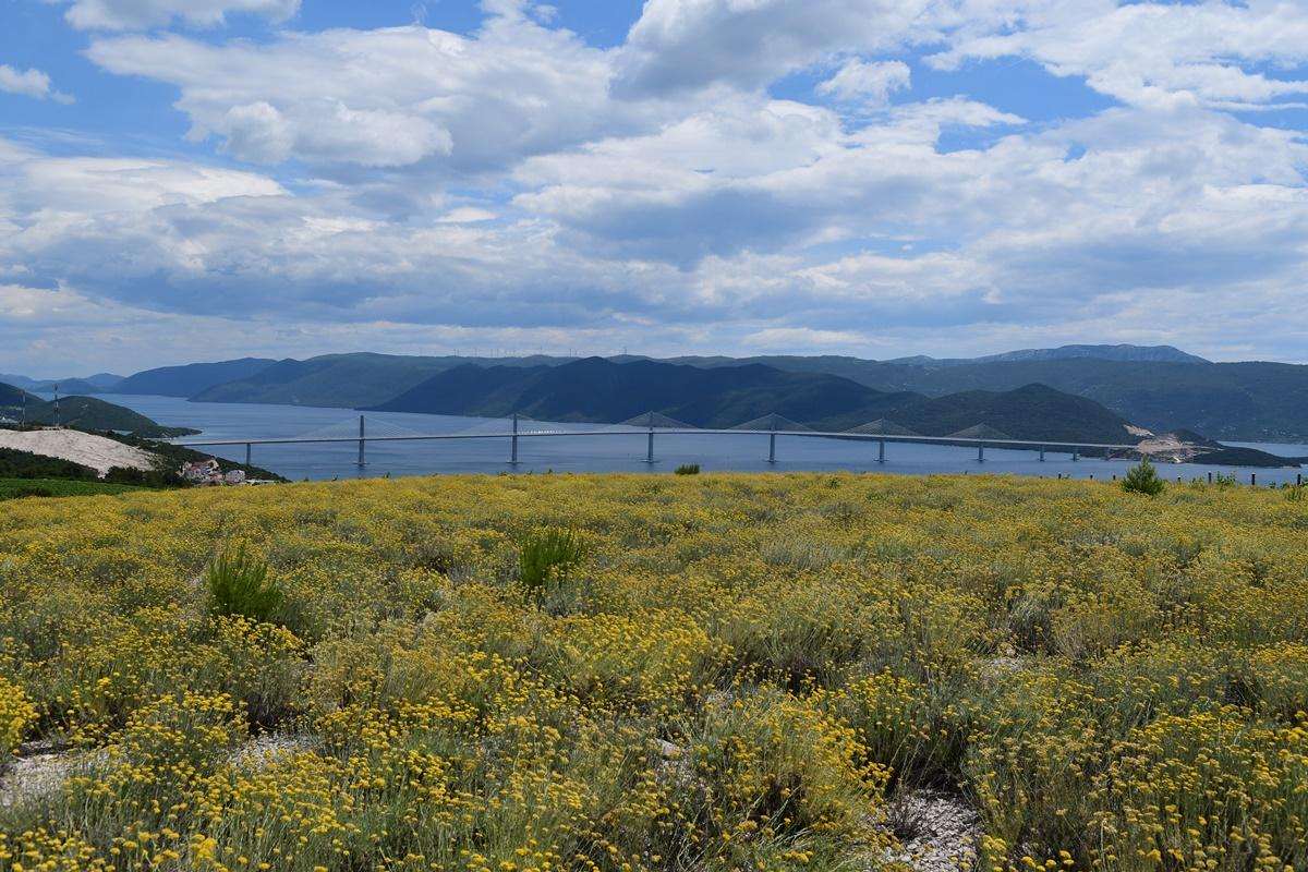 Peljesac Bridge 5