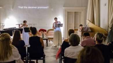 Renaissance Garden in the Villa Bunić-Kaboga: Amaryllis 1 Renaissance Garden Bunic Kaboga 4