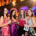 reception and fireworks DSF 15