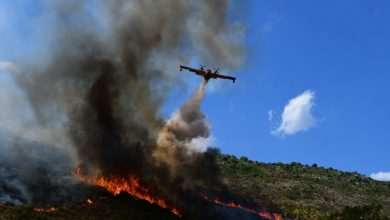Goran Komlenac, Member of The Dubrovnik Fire Brigade, Died Saving Others From Fire 7 Fire Nearby Orasac 10