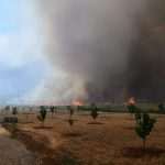 Fire Nearby Orasac 18