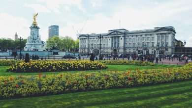 Queen Elizabeth II Has Died 15 hailey wagner u7BZ8dRfHlM unsplash