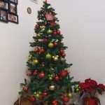 Nativity Scenes From our Readers 13