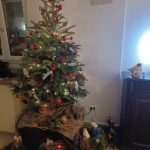 Nativity Scenes From our Readers 15