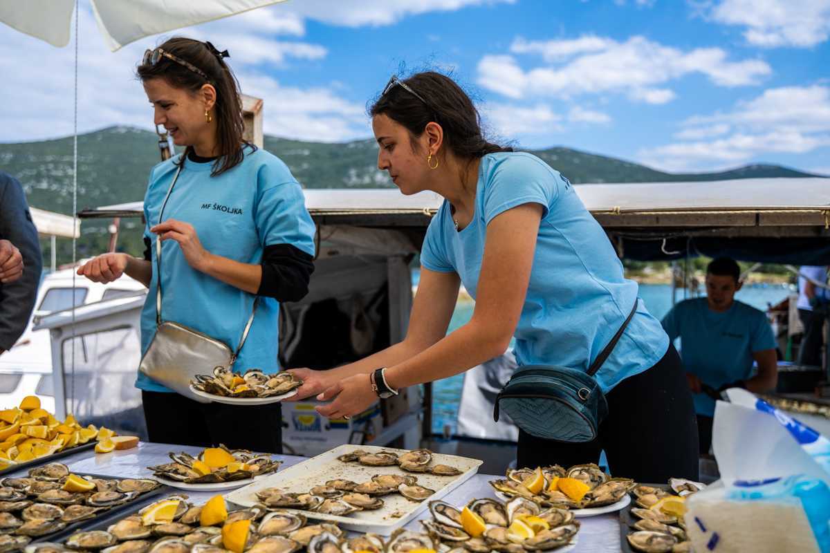 Oysters4