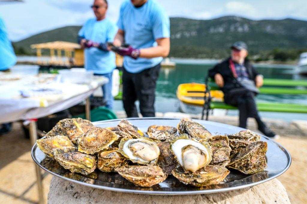 Oysters5