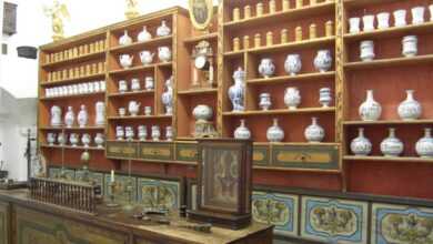 Dubrovnik On-Duty Pharmacies: June 2026 31 Pharmacies Dubrovnik