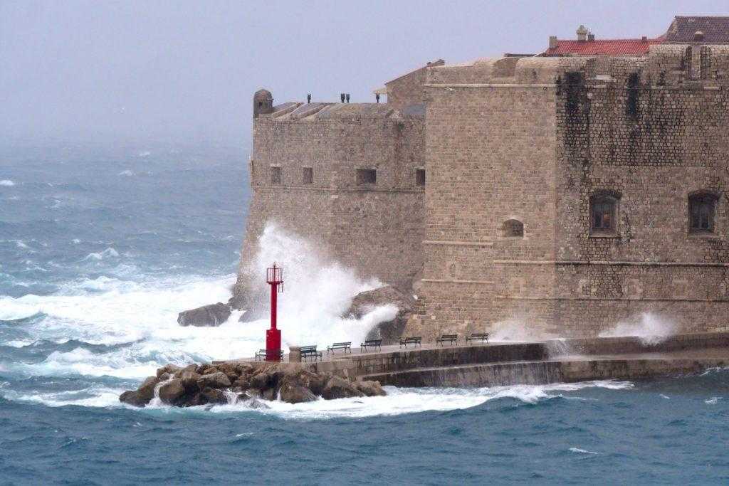jugo porporela 5