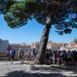 Statehood Day on Stradun: A Sunny Holiday Walk Through Dubrovnik 7 stradun 3005.17
