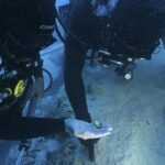 Gold, Imperial Coins and a Rare Ring: Mljet Shipwreck Reveals Its Secrets 3 mljet brod4