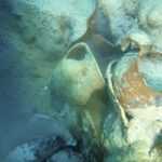 Gold, Imperial Coins and a Rare Ring: Mljet Shipwreck Reveals Its Secrets 5 mljet brod6